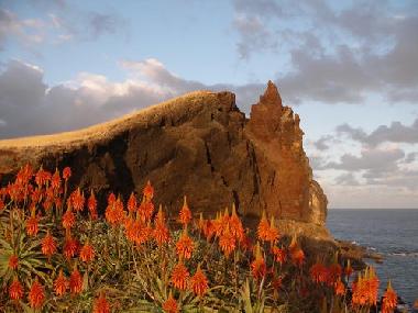 Holiday Apartment in Canico de Baixo (Madeira) or holiday homes and vacation rentals