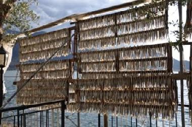 Holiday House in MONTE ISOLA (Brescia) or holiday homes and vacation rentals