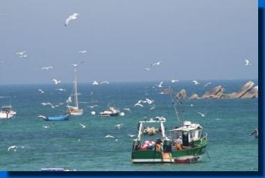 Holiday House in Ploun�our-Trez (Finist�re) or holiday homes and vacation rentals