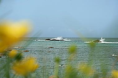 Holiday House in Ploun�our-Trez (Finist�re) or holiday homes and vacation rentals