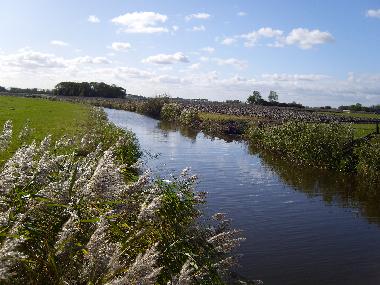 Holiday House in Oostmahorn (Friesland) or holiday homes and vacation rentals