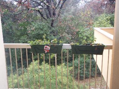 Holiday Apartment in Juan les Pins (Alpes-Maritimes) or holiday homes and vacation rentals