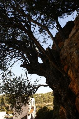 Holiday Apartment in Kritinia (Dodekanisos) or holiday homes and vacation rentals