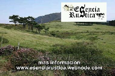 Bed and Breakfast in Curtis (A Corua) or holiday homes and vacation rentals