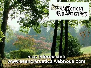 Bed and Breakfast in Curtis (A Corua) or holiday homes and vacation rentals