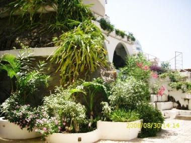 Holiday Apartment in bei Puerto de la Cruz (Teneriffa) or holiday homes and vacation rentals