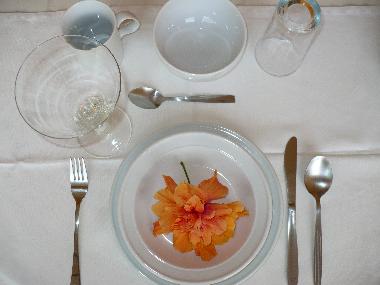 Holiday Apartment in 100.00 (Puntarenas) or holiday homes and vacation rentals