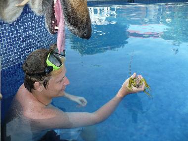 Holiday Apartment in 100.00 (Puntarenas) or holiday homes and vacation rentals