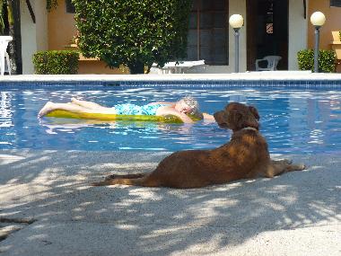 Holiday Apartment in 100.00 (Puntarenas) or holiday homes and vacation rentals