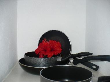 Holiday Apartment in 100.00 (Puntarenas) or holiday homes and vacation rentals