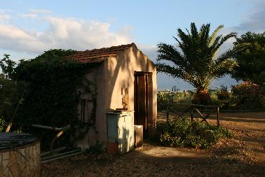 Storage shed beside the vegetable patch, where the owner hides the extra light bulbs!
