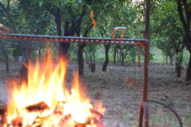 Late evening barbecue on the beach.