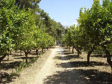 An oasis of nature belies a property that hugs the North Sicilian coastline.