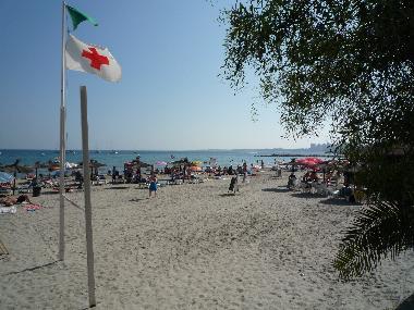 Holiday Apartment in Torrevieja (Alicante / Alacant) or holiday homes and vacation rentals