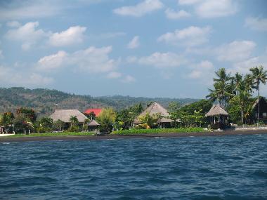 Villa in Dencarik (Bali) or holiday homes and vacation rentals