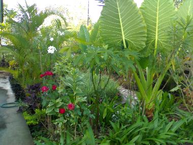 Holiday House in Nongbualumphu (Nong Bua Lamphu) or holiday homes and vacation rentals