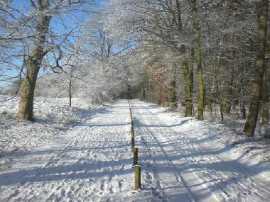 Holiday Apartment in G�hren-Lebbin  (Mecklenburgische Seenplatte) or holiday homes and vacation rentals