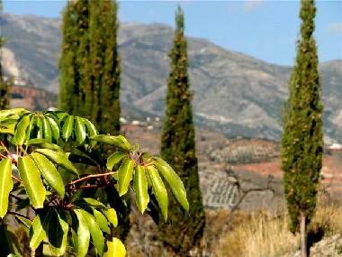 Holiday Apartment in Almu�ecar (Granada) or holiday homes and vacation rentals