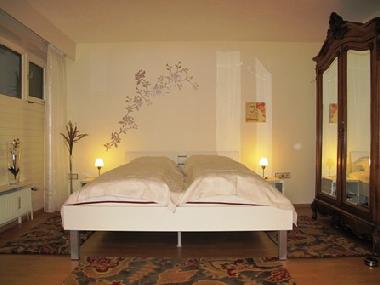 Holiday Apartment in Bad Bellingen (Black Forest) or holiday homes and vacation rentals