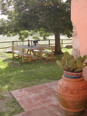 Toskanische Brotzeit im Schatten einer alten Linde. Auf Anfrage bereiten wir Ihnen auch gerne hier e