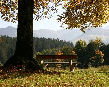 Holiday Apartment in Sonthofen (Bavarian Swabia) or holiday homes and vacation rentals