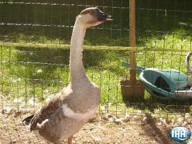 Bed and Breakfast in dury (Aisne) or holiday homes and vacation rentals