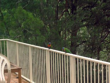 Holiday House in Smiths Lake (New South Wales) or holiday homes and vacation rentals