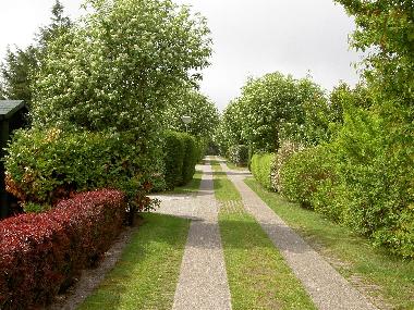 Holiday House in Den Burg (Noord-Holland) or holiday homes and vacation rentals