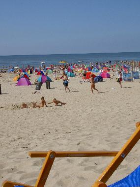 Holiday House in Den Burg (Noord-Holland) or holiday homes and vacation rentals