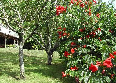 Holiday House in Lamadrid, Valdliga (Cantabria) or holiday homes and vacation rentals