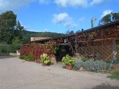Holiday Apartment in Budoni (Nuoro) or holiday homes and vacation rentals