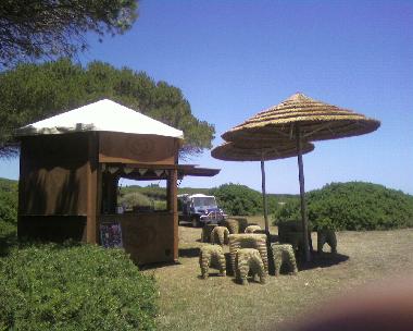 Holiday Apartment in Budoni (Nuoro) or holiday homes and vacation rentals