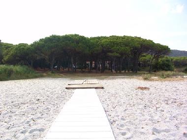 Holiday Apartment in Budoni (Nuoro) or holiday homes and vacation rentals