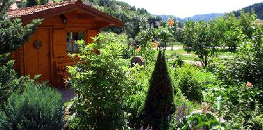 Holiday Apartment in Seebach (Black Forest) or holiday homes and vacation rentals