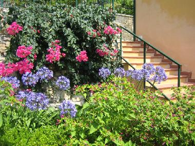 Beautiful garden next to the main terrace