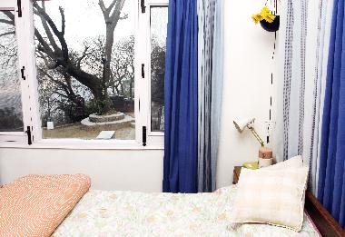 Holiday House in Kasauli (Himachal Pradesh) or holiday homes and vacation rentals