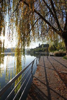 Holiday Apartment in sarnico (Bergamo) or holiday homes and vacation rentals