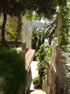 Holiday Apartment in Dubrovnik (Dubrovacko-Neretvanska) or holiday homes and vacation rentals
