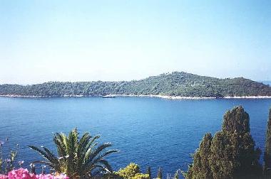 Holiday Apartment in Dubrovnik (Dubrovacko-Neretvanska) or holiday homes and vacation rentals