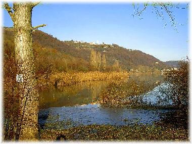 Holiday Apartment in Arcugnano (Vicenza) or holiday homes and vacation rentals