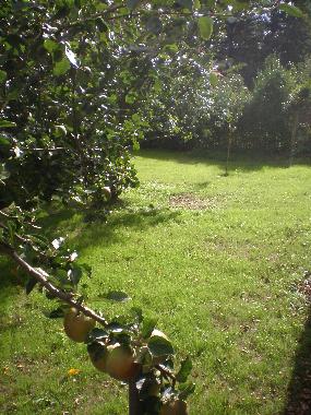 Holiday House in Hohwachter Bucht (Ostsee-Festland) or holiday homes and vacation rentals