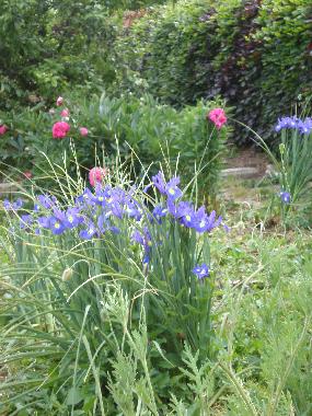 Holiday House in Hohwachter Bucht (Ostsee-Festland) or holiday homes and vacation rentals