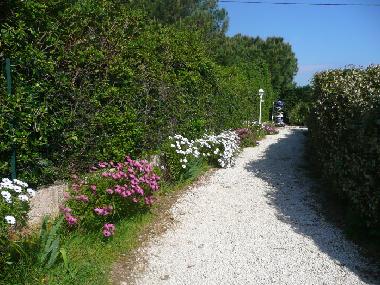 Holiday Apartment in Presqu