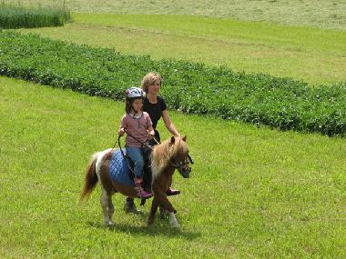 Chalet in Mariapfarr (Lungau) or holiday homes and vacation rentals