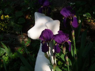 Holiday Apartment in Dorf Tirol  (Bolzano-Bozen) or holiday homes and vacation rentals