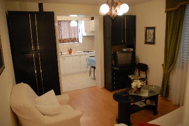 Holiday Apartment in Dubrovnik (Dubrovacko-Neretvanska) or holiday homes and vacation rentals