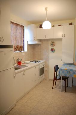 Holiday Apartment in Dubrovnik (Dubrovacko-Neretvanska) or holiday homes and vacation rentals