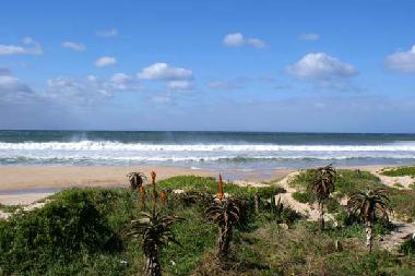 Hotel in Jeffreys Bay (Eastern Cape) or holiday homes and vacation rentals