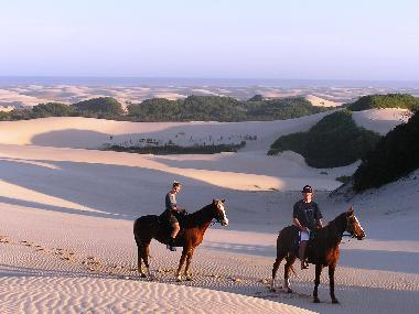 Hotel in Jeffreys Bay (Eastern Cape) or holiday homes and vacation rentals