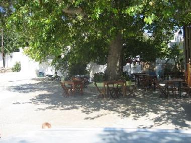 platanos restaurant, with turkish springs at the back and the side.